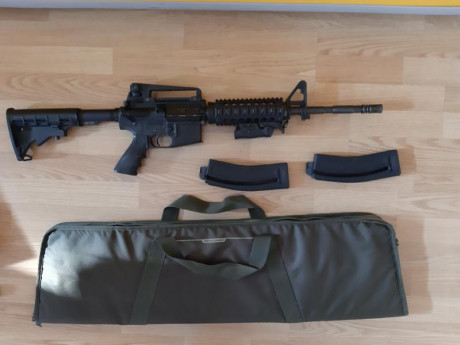 Vendo carabina Chiappa Mfour 22 lr., inpecable estado, incluye: 
-2 guardamanos (original y rail táctico).
-3 01
