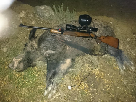 Quiero hacerme un rifle customizado a mi gusto, poner  culata que me guste, sacar miras,alargar maneta 91