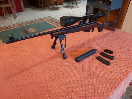 Hola. Por abandono de la afición, vendo esta preciosa carabina del calibre 22lr. 
Incluye visor  y bípode 31