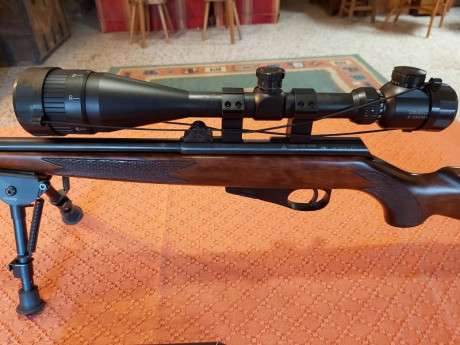 Hola. Por abandono de la afición, vendo esta preciosa carabina del calibre 22lr. 
Incluye visor  y bípode 30