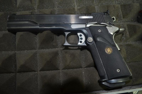 Vendo pistola con dos carros uno del 45  y  otro  del 9 pb. el arma tiene pocos tiros y por problemas 01