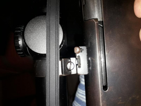 Buenas, tengo estas monturas apel y como veis el pestillo de seguridad de la base trasera no baje del 00