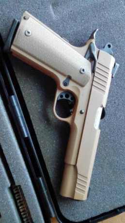 Vendo Taurus de la serie Custom, modelo PT 1911
Calibre .45 ACP
Acabado Cerakote, color arena
Acero forjado
Cachas 00