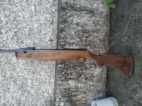 Hola, vendo o cambio por la diana 350 Magnum en calibre 5.5 ajustando la diferencia por mi parte , esta 00