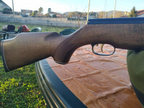 Hola, vendo o cambio por la diana 350 Magnum en calibre 5.5 ajustando la diferencia por mi parte , esta 31