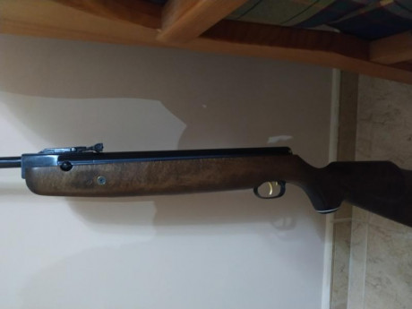 Hola, vendo o cambio por la diana 350 Magnum en calibre 5.5 ajustando la diferencia por mi parte , esta 40
