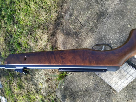 Hola
Pese a que me prometí,después del fiasco de la Húnter Grizzly no querer saber más de Gamo,he vuelto 141