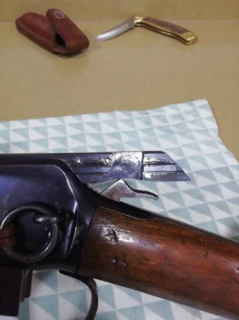 Hola compañeros:  compre una carabina Tigre hace un año y no he podido probarla hasta ahora y resulta 80