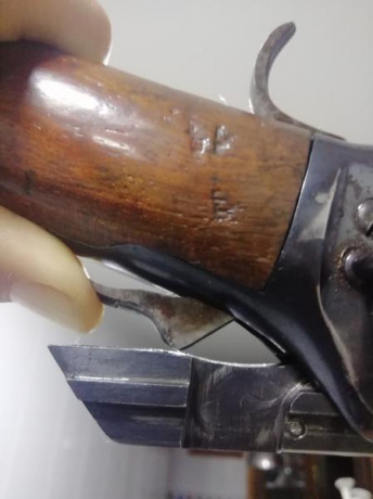 Hola compañeros:  compre una carabina Tigre hace un año y no he podido probarla hasta ahora y resulta 100