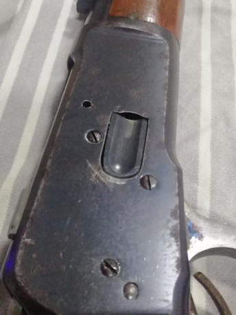 Hola compañeros:  compre una carabina Tigre hace un año y no he podido probarla hasta ahora y resulta 121