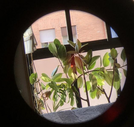 Articulo: Mueller Optics USA, óptica variable (LPVO: low power variable optics) para rifle SpeedShot 1-4x24 01