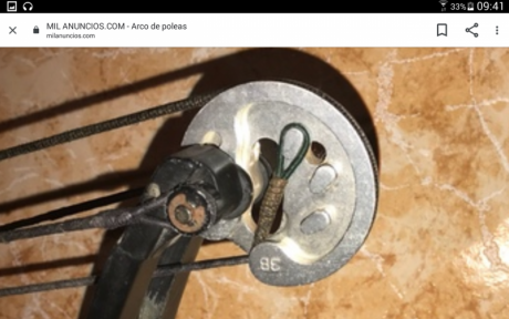 Hola  !  .  Busco  juego de poleas , diestro , Hoyt , " energy wheel  " , n○2 , si puede ser 00