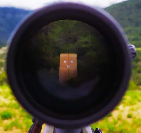 Alguien con un delta stryker 5-50x56 que pueda darme sus impresiones sobre el. Estoy valorando montar 171