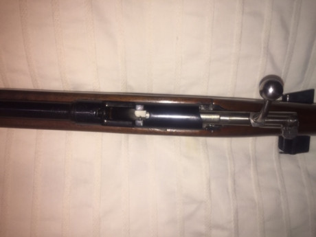 RESERVADA
Vendo Carabina Destroyer calibre 9 mm Parabellum, con su cargador original para 6 disparos.
Guiada 00