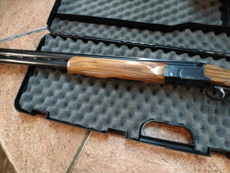 Estoy pensando en comprar una escopeta nueva tiro codorniz, pichón y algo de plato en foso, rrcc, compack... 80