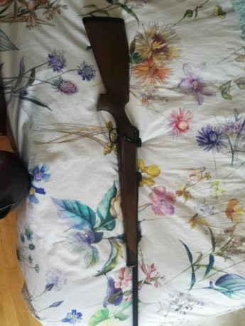Hola.
Cambio este rifle por rifle ligero en calibre más pequeño, gps para perro o superpuesta becada. 02