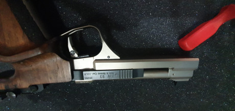 PONGO EN VENTA MI FEIN AW 93..( LA IRRONPIBLE)
El motivo es que quería una pistola con dos carros 22/32 00