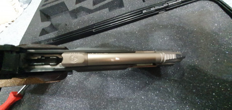 PONGO EN VENTA MI FEIN AW 93..( LA IRRONPIBLE)
El motivo es que quería una pistola con dos carros 22/32 12