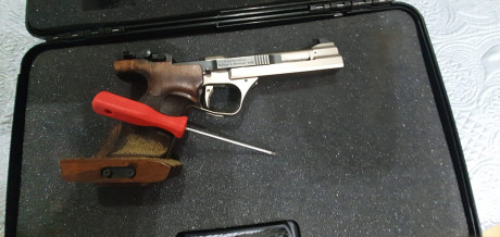 PONGO EN VENTA MI FEIN AW 93..( LA IRRONPIBLE)
El motivo es que quería una pistola con dos carros 22/32 11