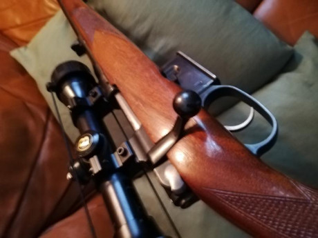 Vendo rifle cz 527 calibre 222rem, tiene gatillo al pelo frances y cargador extraible, agrupa de maravilla 02