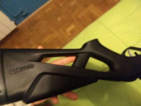 Vendo carabina gamo WHISPER MAXXIN IGT, con dos visores 4x32 wr  y 3x12x40 se,con bipode. 200+portes 11