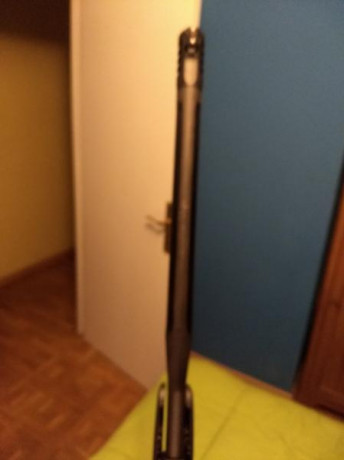 Vendo carabina gamo WHISPER MAXXIN IGT, con dos visores 4x32 wr  y 3x12x40 se,con bipode. 200+portes 10