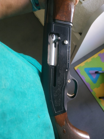 Se venden dos escopetas repetidoras Beretta calibre 12.
Una 304 de 3 estrellas fijas en 350 € y una 303 02
