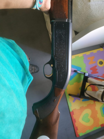 Se venden dos escopetas repetidoras Beretta calibre 12.
Una 304 de 3 estrellas fijas en 350 € y una 303 01