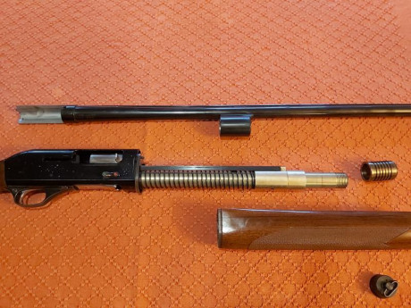 Hola. Cambio esta escopeta calibre 12. Marca Lanber
69 cm de cañon con punto de mira de fibra roja
Polichokes 01