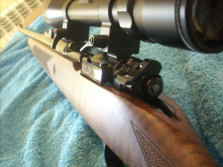 Hola compañeros, me gustaría saber hasta que punto es posible customizar un rifle y si sabéis de armeros 41