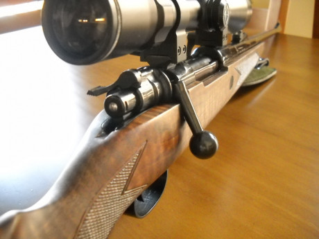 Hola compañeros, me gustaría saber hasta que punto es posible customizar un rifle y si sabéis de armeros 52