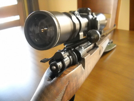 Hola compañeros, me gustaría saber hasta que punto es posible customizar un rifle y si sabéis de armeros 51