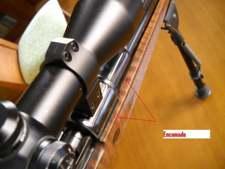 Hola compañeros, me gustaría saber hasta que punto es posible customizar un rifle y si sabéis de armeros 50