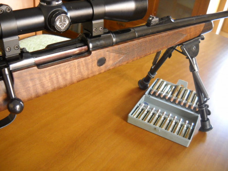 Hola compañeros, me gustaría saber hasta que punto es posible customizar un rifle y si sabéis de armeros 61