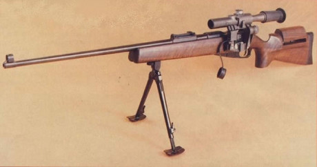 Hola compañeros, me gustaría saber hasta que punto es posible customizar un rifle y si sabéis de armeros 40