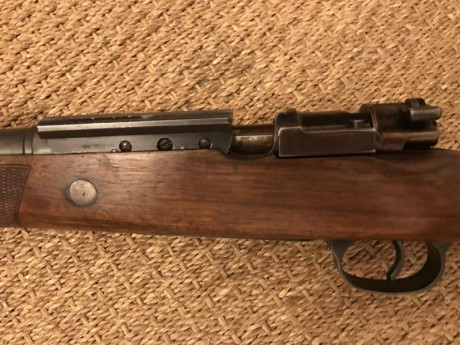 Hola compañeros, me gustaría saber hasta que punto es posible customizar un rifle y si sabéis de armeros 110