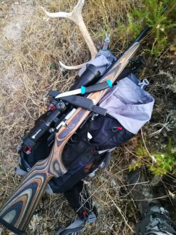 Hola compañeros,alguien sabe la calidad del rifle voere lbw std y su comparación con el sauer 100 classic 21