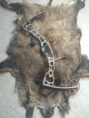 Arco de caza Hoyt Rampage de 50 - 60 libras de potencia. Apertura regulable de 27 a 30 pulgadas para ajustar 02