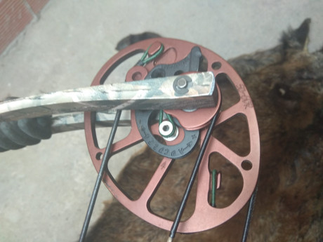 Arco de caza Hoyt Rampage de 50 - 60 libras de potencia. Apertura regulable de 27 a 30 pulgadas para ajustar 12