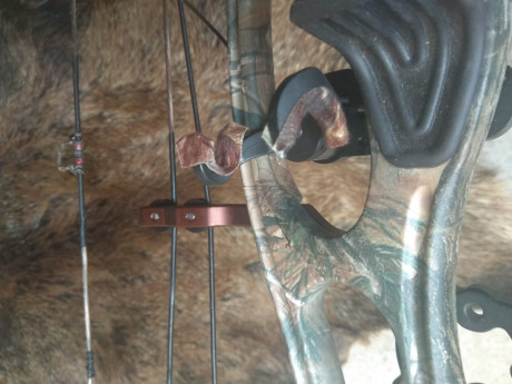 Arco de caza Hoyt Rampage de 50 - 60 libras de potencia. Apertura regulable de 27 a 30 pulgadas para ajustar 11