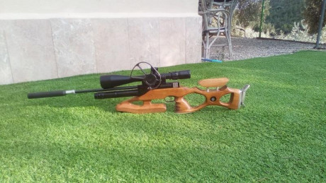 Hola compañeros, soy nuevo en el foro y me estreno con esta cuestión.

Quiero adquirir una carabina de 10