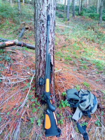 Hola vendo o cambio por palanquero en las mismas condiciones que el mio cerrojo Ruger American calibre 20