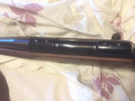 Buenas tardes, me permito haceros una consulta sobre un problema que tengo en un rifle. Es un Titan 6 01