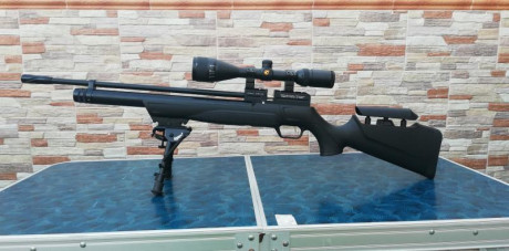 Vendo Kral Puncher 4,5mm/.177 con dos cargadores originales de 14 disparos cada uno.
Visor Gamo 4-12x44 01