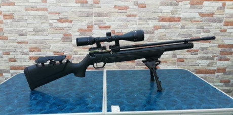 Vendo Kral Puncher 4,5mm/.177 con dos cargadores originales de 14 disparos cada uno.
Visor Gamo 4-12x44 00