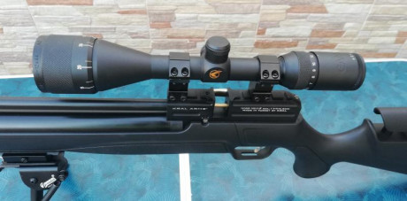 Vendo Kral Puncher 4,5mm/.177 con dos cargadores originales de 14 disparos cada uno.
Visor Gamo 4-12x44 11