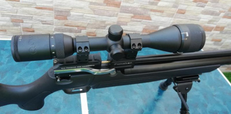 Vendo Kral Puncher 4,5mm/.177 con dos cargadores originales de 14 disparos cada uno.
Visor Gamo 4-12x44 10