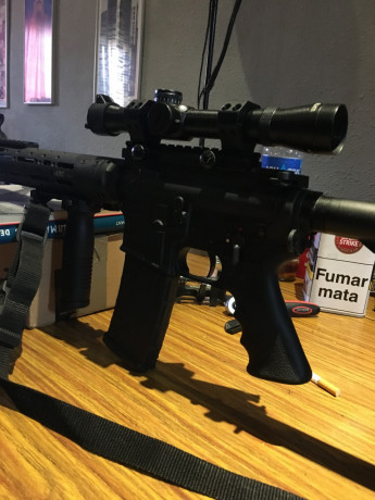 Vendo conjunto visor mas montura de anillas STANAG, compuesto de
Visor ZENIT PO 4x24 C2 (optica Bielorrusa 22