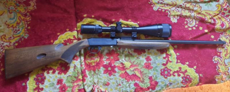 Vendo Carabina norinco 22 semiautomática ,en muy  buen estado ,con rosca, capacidad 10, tiene acoplado 02