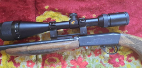 Vendo Carabina norinco 22 semiautomática ,en muy  buen estado ,con rosca, capacidad 10, tiene acoplado 01